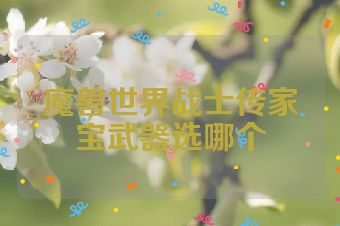 魔兽世界战士传家宝武器选哪个