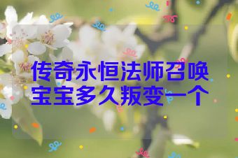 传奇永恒法师召唤宝宝多久叛变一个