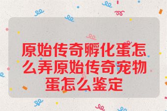 原始传奇孵化蛋怎么弄原始传奇宠物蛋怎么鉴定