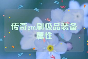 传奇gm刷极品装备属性