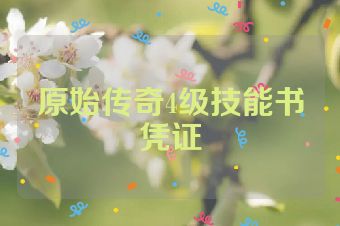 原始传奇4级技能书凭证