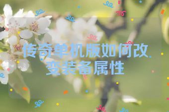 传奇单机版如何改变装备属性