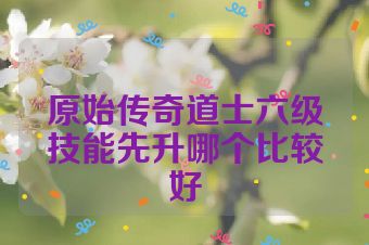 原始传奇道士六级技能先升哪个比较好