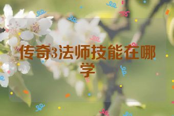传奇3法师技能在哪学