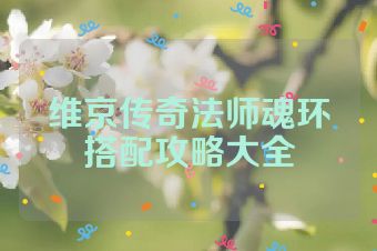 维京传奇法师魂环搭配攻略大全