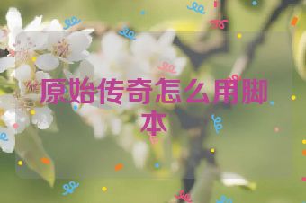 原始传奇怎么用脚本