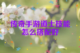 传奇手游道士技能怎么搭配好