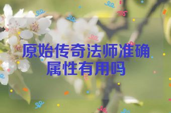 原始传奇法师准确属性有用吗