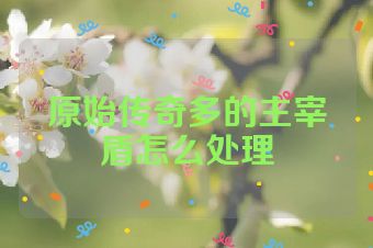 原始传奇多的主宰盾怎么处理