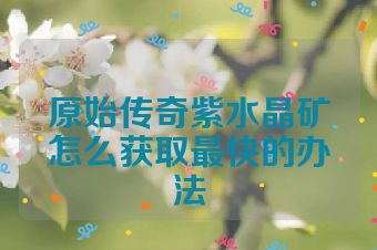 原始传奇紫水晶矿怎么获取最快的办法