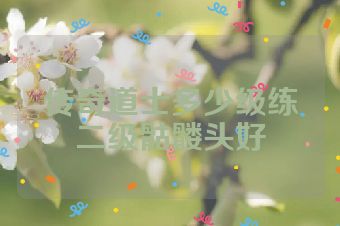 传奇道士多少级练二级骷髅头好