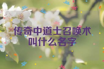 传奇中道士召唤术叫什么名字