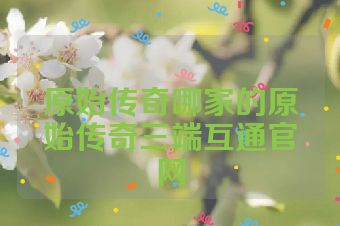 原始传奇哪家的原始传奇三端互通官网
