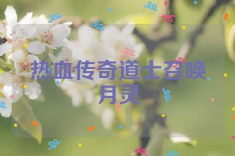热血传奇道士召唤月灵