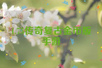 1.75传奇复古金币版手游
