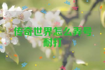 传奇世界怎么弄号耐打