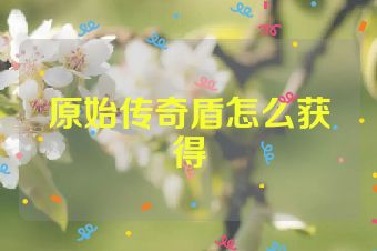 原始传奇盾怎么获得