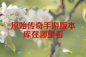 原始传奇手游版本库在哪里看