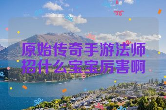 原始传奇手游法师招什么宝宝厉害啊