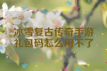 冰雪复古传奇手游礼包码怎么用不了