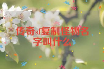 传奇sf复制怪物名字叫什么
