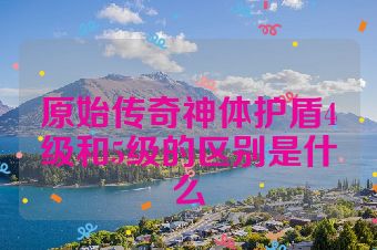 原始传奇神体护盾4级和5级的区别是什么