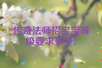 传奇法师招宝宝等级要求多少?