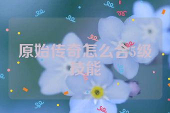 原始传奇怎么合5级技能