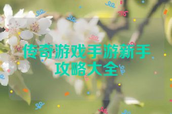 传奇游戏手游新手攻略大全