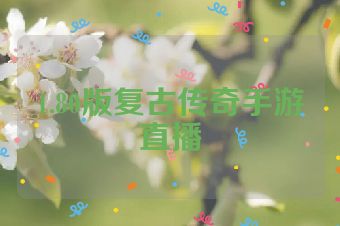 1.80版复古传奇手游直播