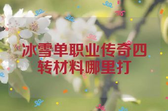 冰雪单职业传奇四转材料哪里打