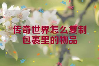 传奇世界怎么复制包裹里的物品