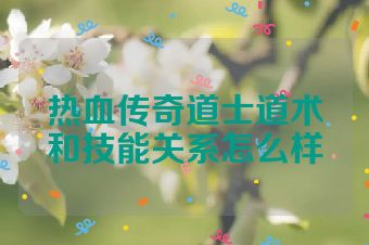 热血传奇道士道术和技能关系怎么样