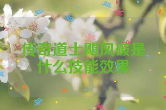 传奇道士飓风破是什么技能效果