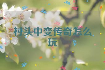 村头中变传奇怎么玩