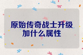 原始传奇战士升级加什么属性