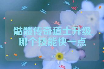 骷髅传奇道士升级哪个技能快一点