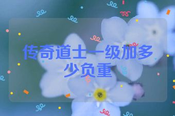 传奇道士一级加多少负重