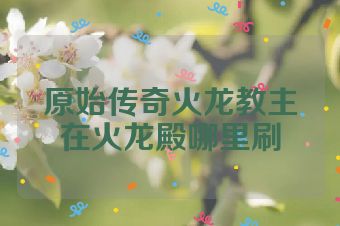 原始传奇火龙教主在火龙殿哪里刷