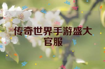传奇世界手游盛大官服