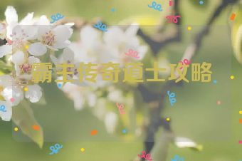 霸主传奇道士攻略