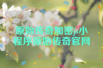 原始传奇加密js小程序原始传奇官网