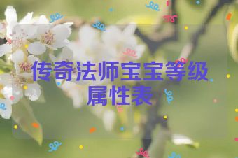 传奇法师宝宝等级属性表