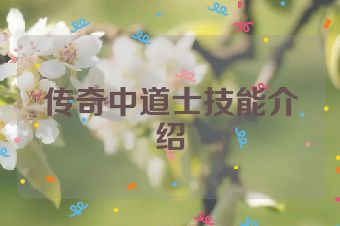 传奇中道士技能介绍