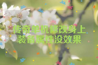 传奇单机修改身上装备属性没效果