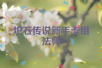 炉石传说新手卡组法师