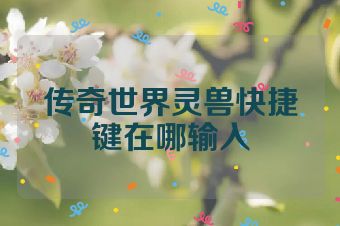 传奇世界灵兽快捷键在哪输入