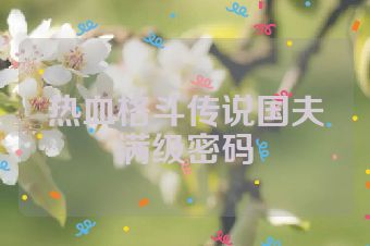 热血格斗传说国夫满级密码