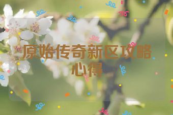 原始传奇新区攻略心得