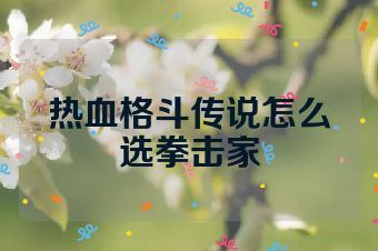 热血格斗传说怎么选拳击家